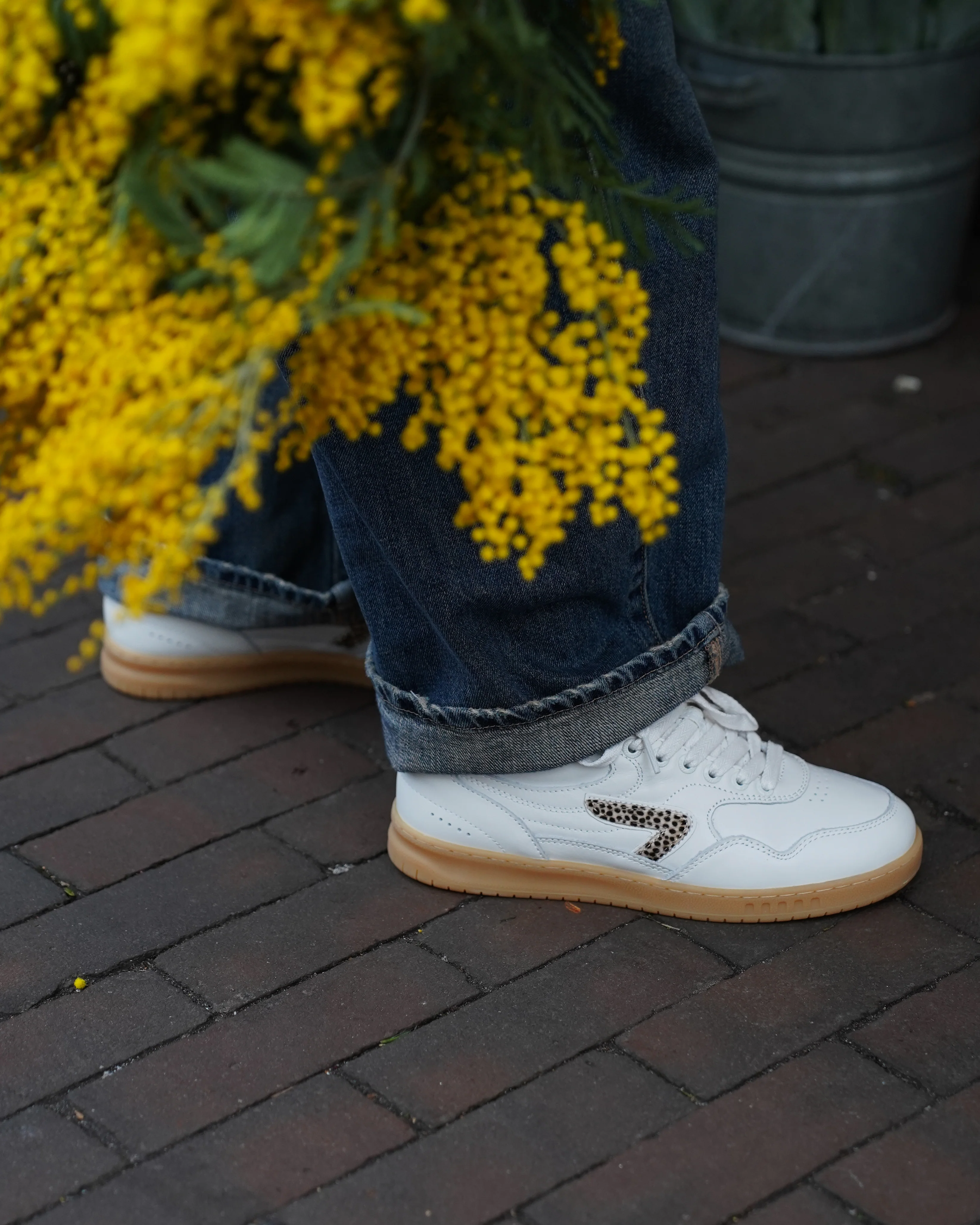 Born on Court, Made for Street